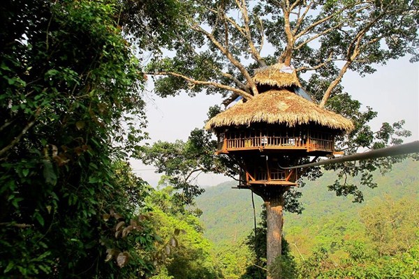 The Gibbon Experience in Laos